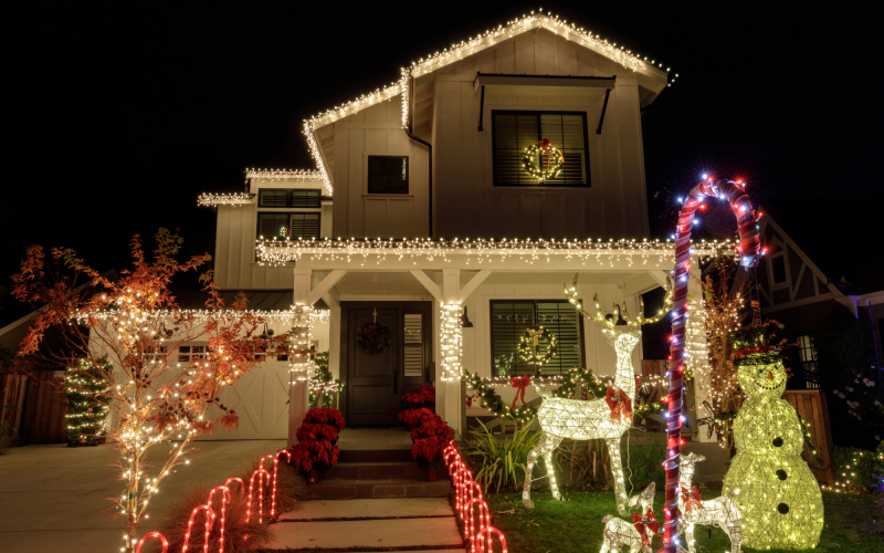 WCL Mascot + Logo (2000 x 1400 px) (1)