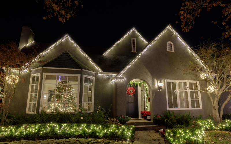 WCL Mascot + Logo (2000 x 1400 px) (2)