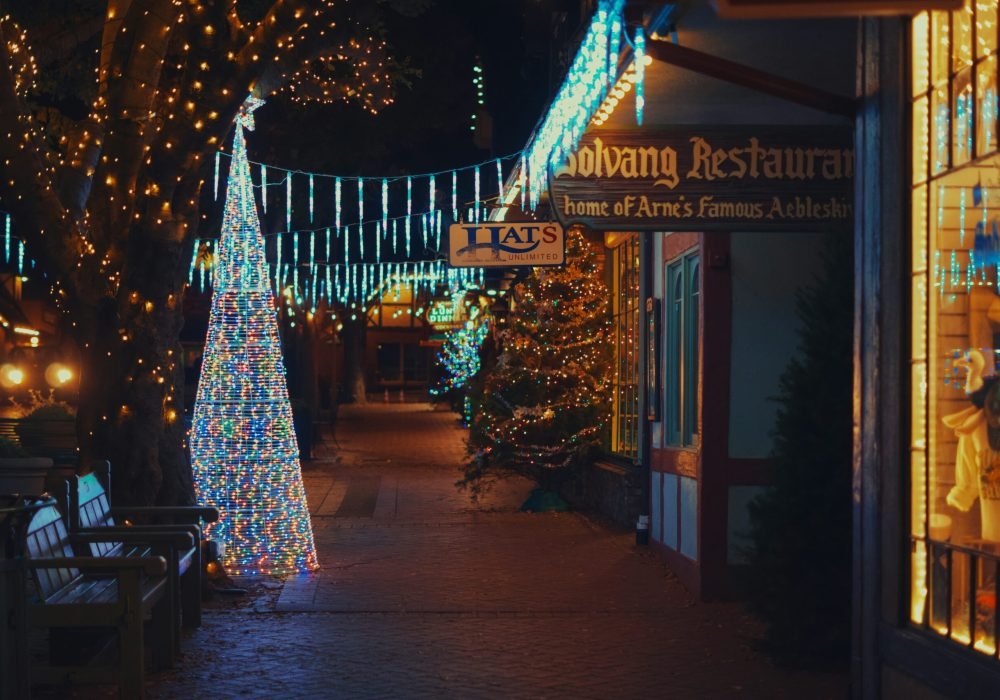 commercial-storefront-holiday-trim-and-tree-lights