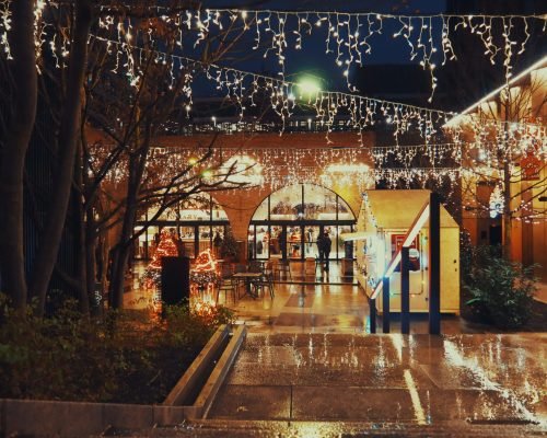 Christmas lights outlining a walkway, edges, and garden path for holiday ambiance